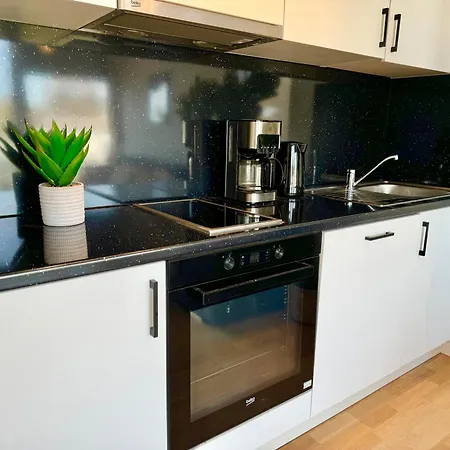 Modernes Mit Balkon Naehe Scs Apartment Wiener Neudorf
